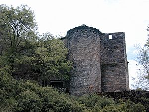 Archivo:Casa Pallás.Torre O.1