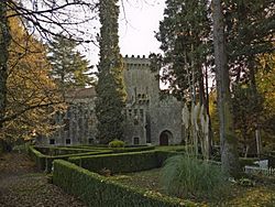 Castelo de Masid, Pantón, Lugo.jpg