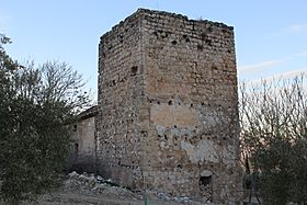 Castillo de Aldehuela 24J 01.jpg