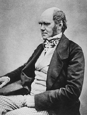 Archivo:Charles Darwin seated crop