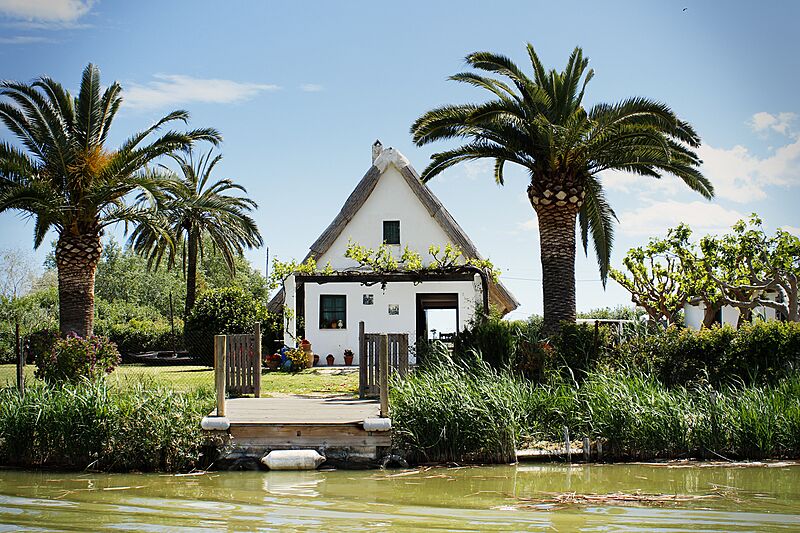 El Palmar Barraca 2