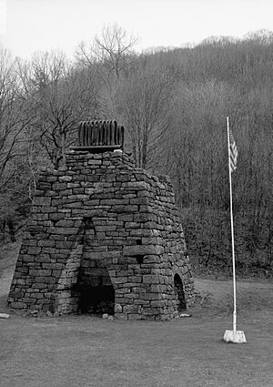 Archivo:Eliza Furnace