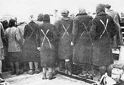 Archivo:Female prisoners in Ravensbrück chalk marks show selection for transport