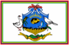 Flag of Rodrigues.svg