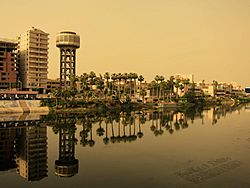 Flickr - HuTect ShOts - Nile River ^ Palms - El.Mansoura - Egypt - 14 05 2010.jpg
