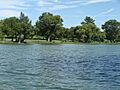 Guadalupe River Texas (2)