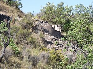 Archivo:La Vall d'Uixó MMXIII 16