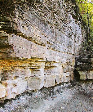 Archivo:Limestone-sandstone