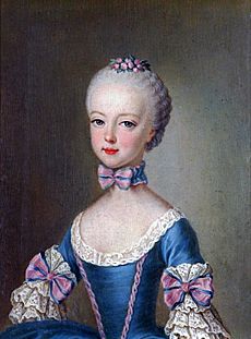 Archivo:Liotard - Archduchess Maria Antonia - Schönbrunn, Study and Salon of Franz Karl