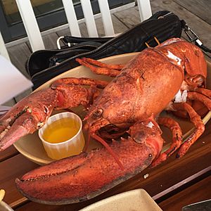 Archivo:Lobster in Boston