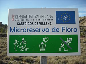 Archivo:Microrreserva de flora Los Cabecicos