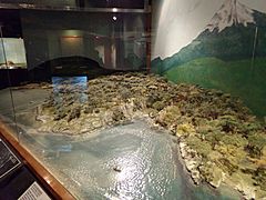 Museo Yámana, Ushuaia 15