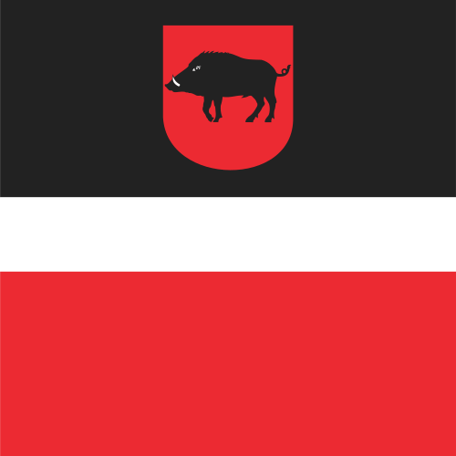 POL Łęczna flag
