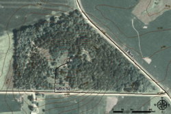 Pilot Mound State Forest Aerial Topo.png