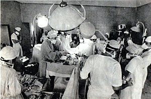 Archivo:Podolay transplantacia srdca 1968