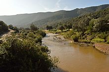 Archivo:Río Guadalabarbo a su paso por la carretera de Obejo
