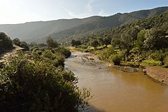 Río Guadalabarbo a su paso por la carretera de Obejo.JPG