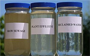 Archivo:Reclaimed Water Jars
