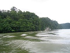 Rio Dulce Guatemala02