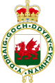 Royal Badge of Wales (1953)