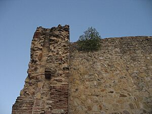 Archivo:Ruinas de Talamanca