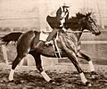 Seabiscuit workout with GW up