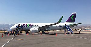 Archivo:Sky Airline, Airbus A320, Ayacucho, 07-08-2019