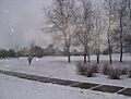 Snow-Mirasoles-MonteGrande