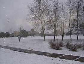 Archivo:Snow-Mirasoles-MonteGrande