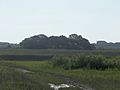 St Aug Fort Mose01