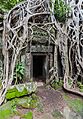 Ta Phrom, Angkor, Camboya, 2013-08-16, DD 41