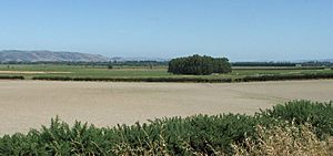 Archivo:TaieriPlain