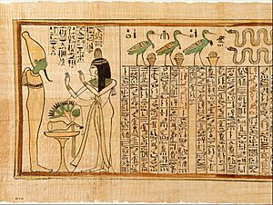 Archivo:The Singer of Amun Nany's Funerary Papyrus MET DT551