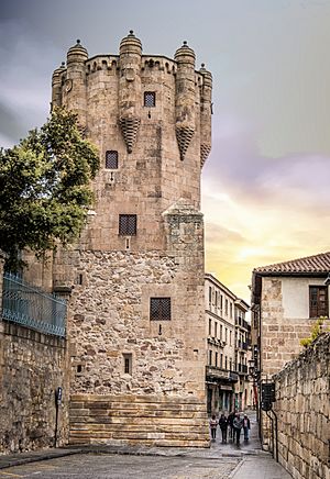 Archivo:Torre del Clavero (s. XV), Salamanca (37114166554)