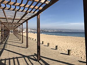 Archivo:Vista de Playa Viña del Mar