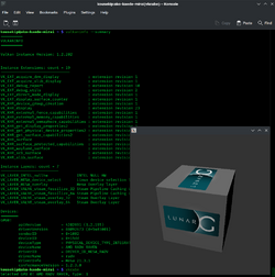 Vulkaninfo with vkcube screenshot.png