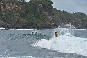 Archivo:153 Championnat international de surf, Basse-Pointe Martinique