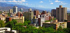 A typical view of Mendoza City full of trees and big mountains..jpg