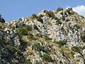 Abella de la Conca. Castell d'Abella