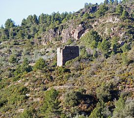 Algímia d'Almonesir, torre de l'Alfàndiga.JPG