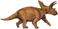 Archivo:Anchiceratops dinosaur