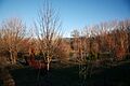 Arboreto ginerdelosrios