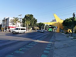 Avenida de los Arcos, Jardínes del Bosque, Guadalajara, Jalisco.jpg