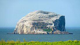 BassRockNB.JPG