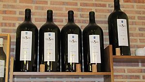 Archivo:Botellas Imperial 6 litros vino Bodega Viña Sastre - Hermanos Sastre Ribera del Duero