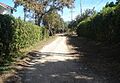 CAMINO1