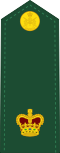 Canadian Army OF-3.svg