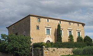 Archivo:Castell Palau d'Orriols