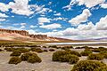 Catedrales de Tara, Chile, 2016-02-07, DD 61