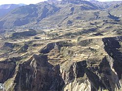 Colca Canyon in Peru (2008).jpg